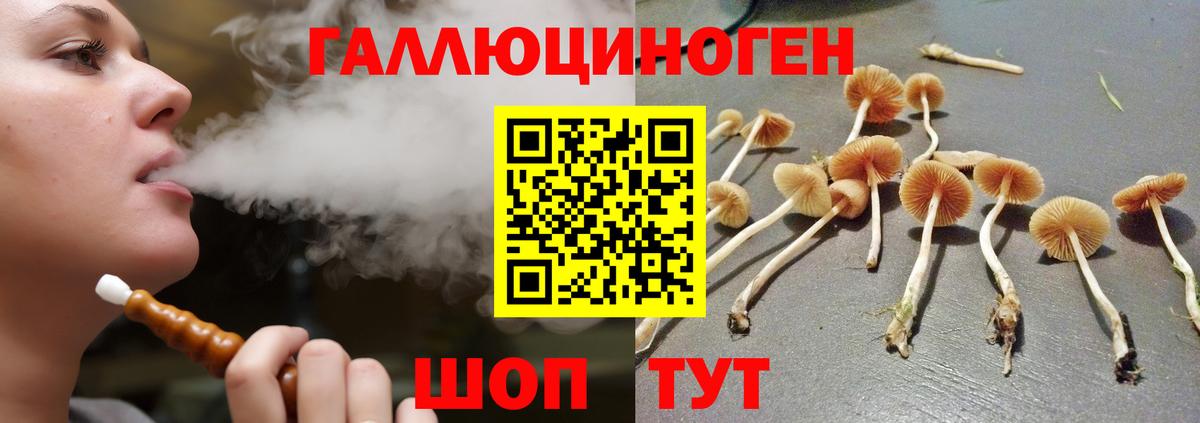Псилоцибиновые грибы ЛСД  Псилоцибиновые грибы GOLDEN TEACHER  даркнет сайт  Вход с VPN  Торжок 
